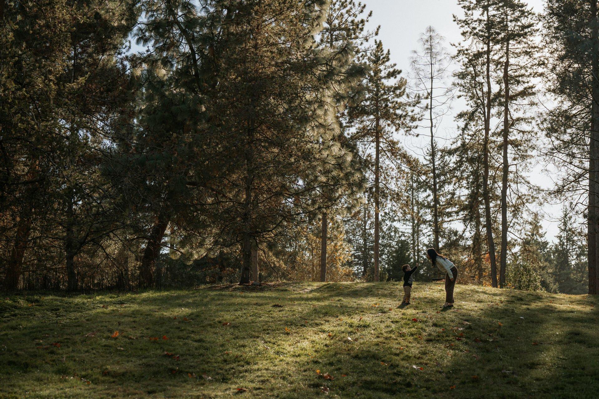 Family photography session